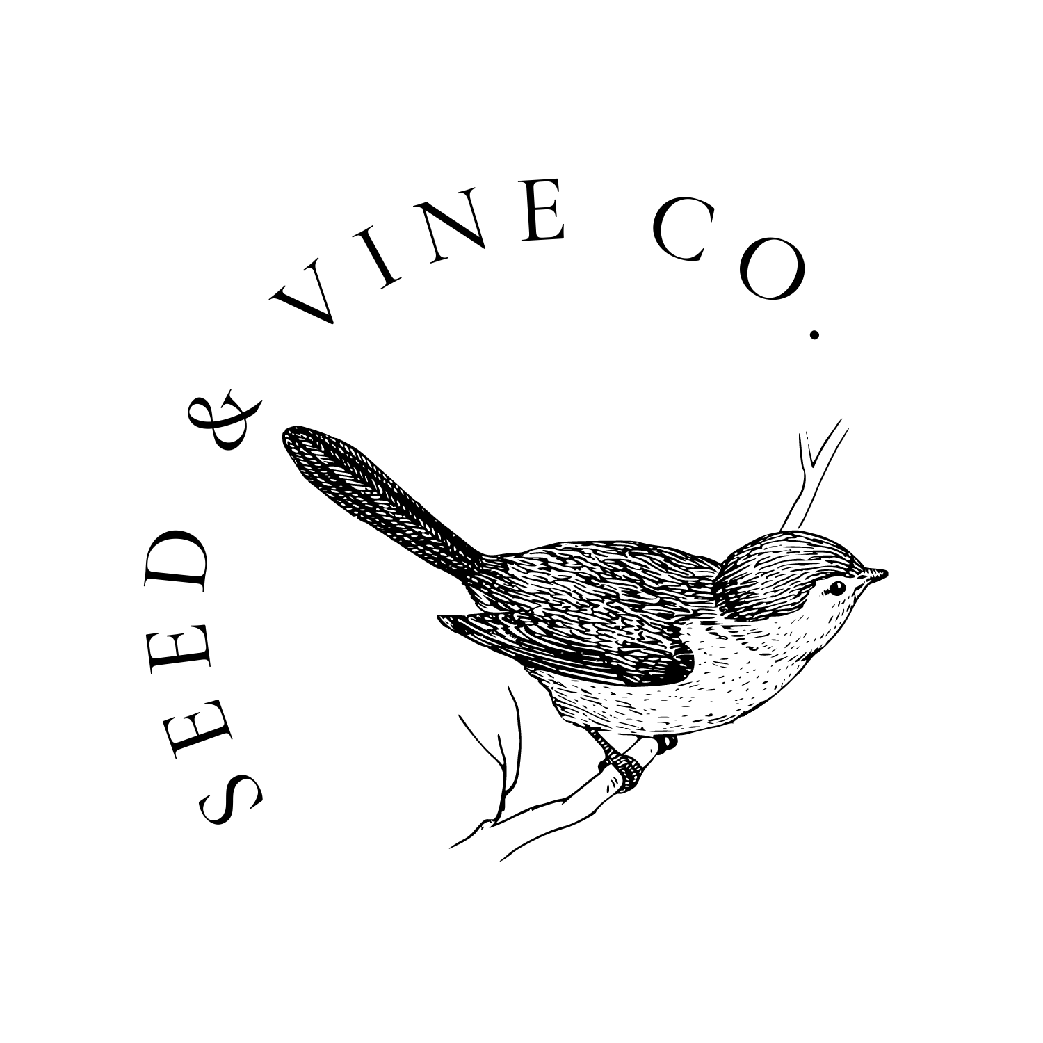 seed & vine co. logo